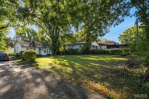 Photo of 546 Holland Avenue, Webster Groves, MO 63119 (MLS # 25066244)