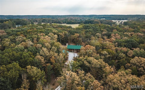 Tiny photo for 14754 Withrow Drive, Licking, MO 65542 (MLS # 26058900)