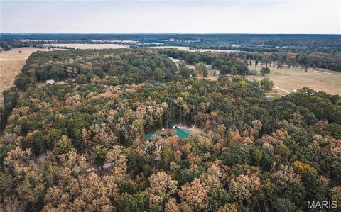 Tiny photo for 14754 Withrow Drive, Licking, MO 65542 (MLS # 26058900)