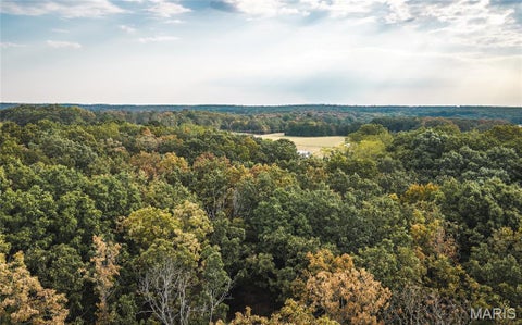 Tiny photo for 14754 Withrow Drive, Licking, MO 65542 (MLS # 26058900)