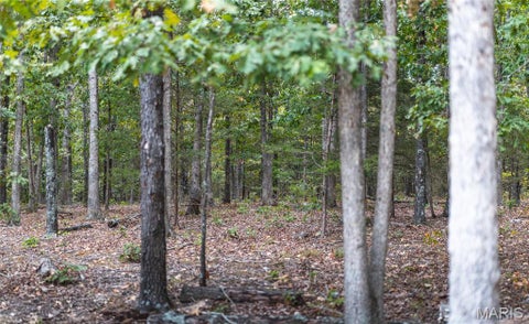 Tiny photo for 14754 Withrow Drive, Licking, MO 65542 (MLS # 26058900)