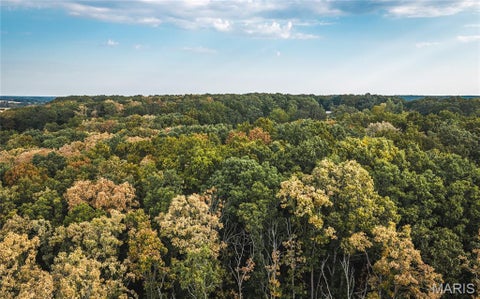Tiny photo for 14754 Withrow Drive, Licking, MO 65542 (MLS # 26058900)