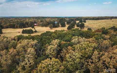 Tiny photo for 14754 Withrow Drive, Licking, MO 65542 (MLS # 26058900)