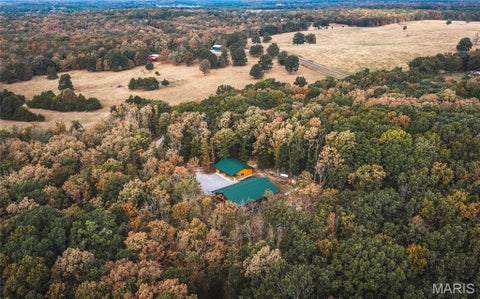 Photo of 14754 Withrow Drive, Licking, MO 65542 (MLS # 26058900)