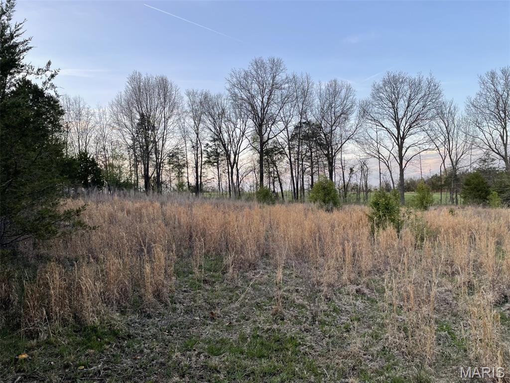 Whispering Sycamore Estates - Land