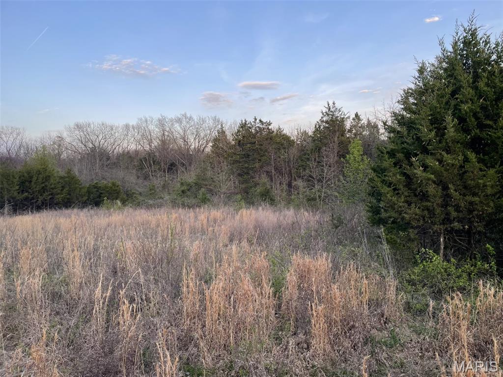 Whispering Sycamore Estates - Land