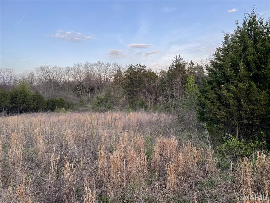 Photo of 263 Jordan Ridge Drive, New Haven, MO 63068 (MLS # 26020921)