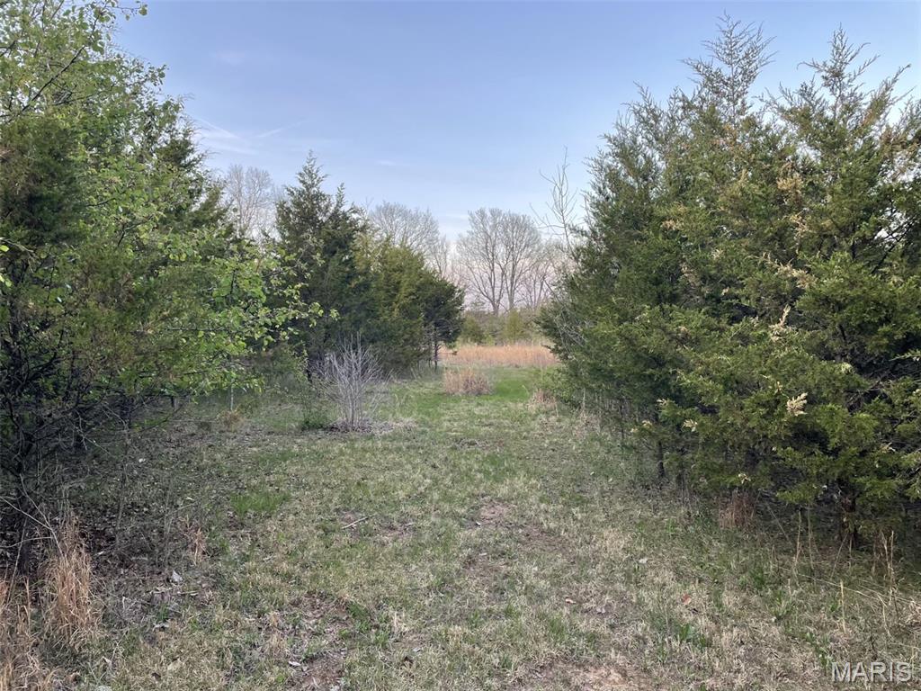 Whispering Sycamore Estates - Land