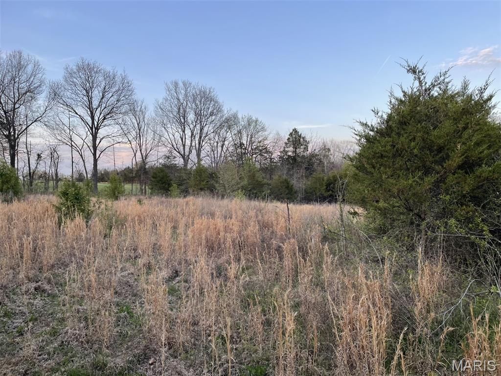Photo of 263 Jordan Ridge Drive, New Haven, MO 63068 (MLS # 26020921)