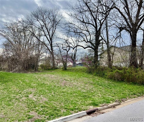 Photo of 306 Vine Street, New Haven, MO 63068 (MLS # 26068560)
