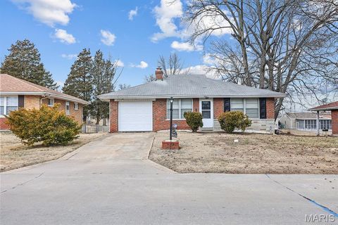 Photo of 9221 Shadydale Drive, St Louis, MO 63136 (MLS # 26011980)