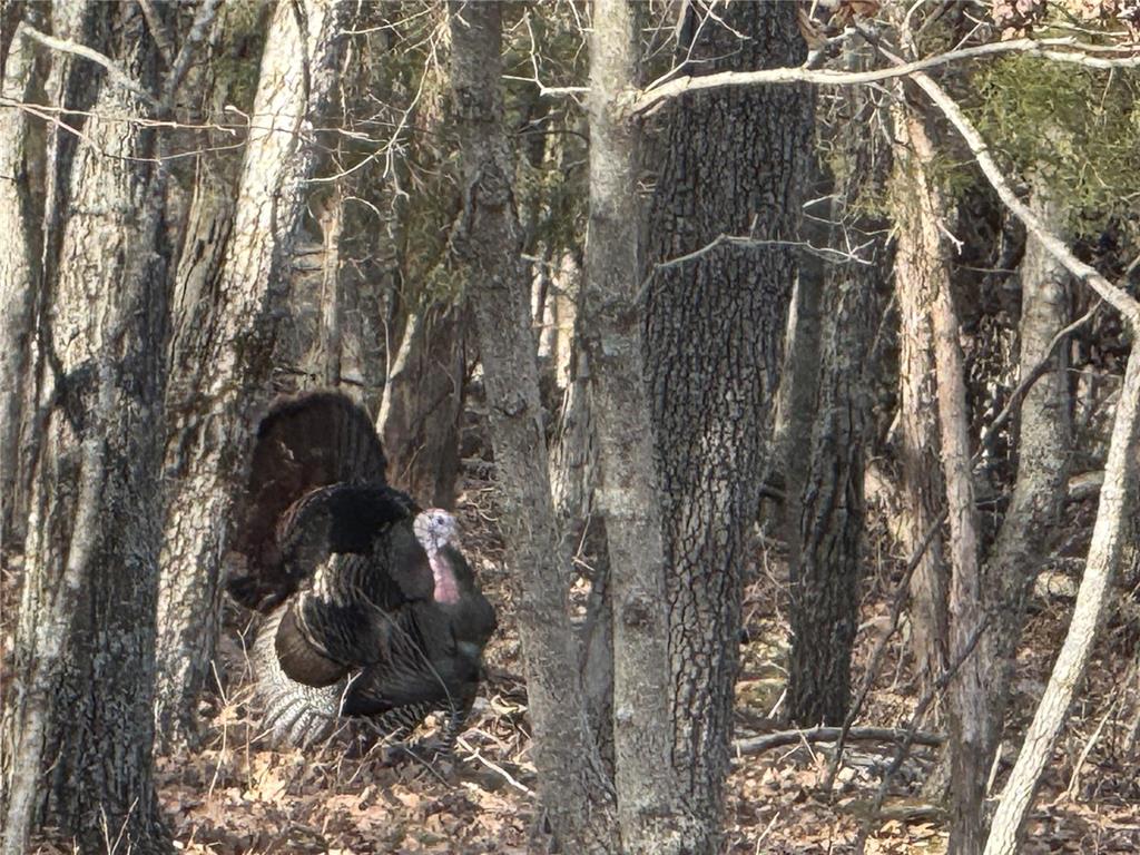 Rivermont Ranch - Residential