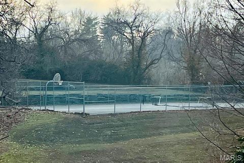 Tiny photo for 1939 Hunting Lake Court #1939, Kirkwood, MO 63122 (MLS # 25082401)