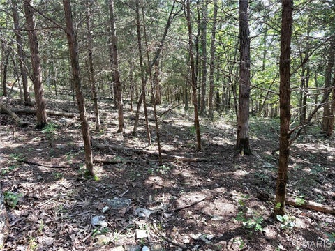 Tiny photo for 4567 Thunder Ridge Road, Wildwood, MO 63025 (MLS # 26039372)
