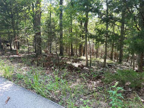 Photo of 4567 Thunder Ridge Road, Wildwood, MO 63025 (MLS # 26039372)