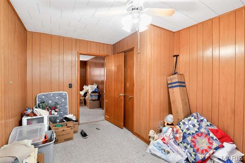 Tiny photo for 317 W Fannetta Street, Dexter, MO 63804 (MLS # 26030340)