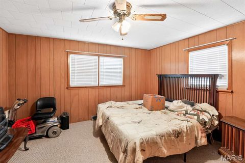 Tiny photo for 317 W Fannetta Street, Dexter, MO 63804 (MLS # 26030340)