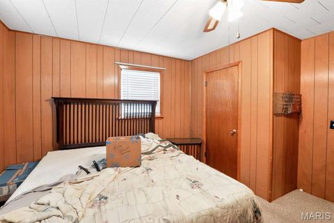 Tiny photo for 317 W Fannetta Street, Dexter, MO 63804 (MLS # 26030340)