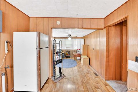 Tiny photo for 317 W Fannetta Street, Dexter, MO 63804 (MLS # 26030340)