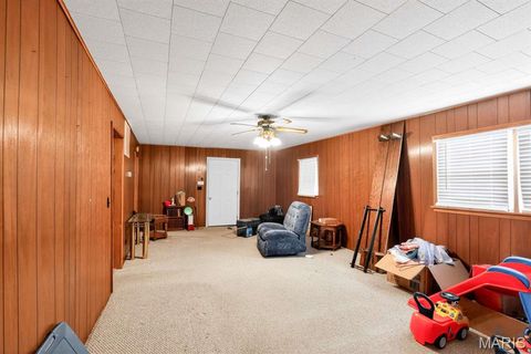 Tiny photo for 317 W Fannetta Street, Dexter, MO 63804 (MLS # 26030340)