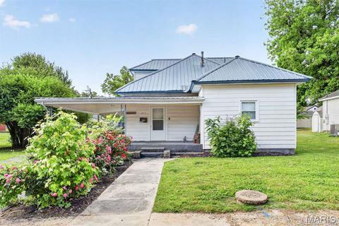 Photo of 317 W Fannetta Street, Dexter, MO 63804 (MLS # 26030340)