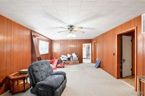 Tiny photo for 317 W Fannetta Street, Dexter, MO 63804 (MLS # 26030340)