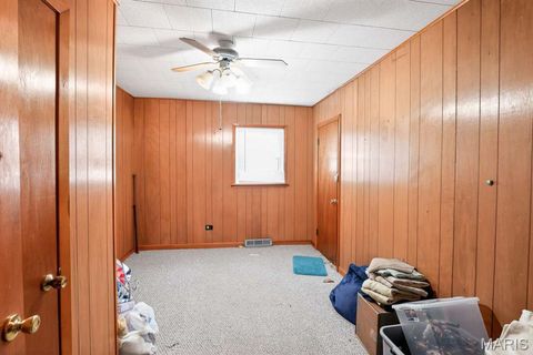 Tiny photo for 317 W Fannetta Street, Dexter, MO 63804 (MLS # 26030340)