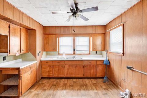 Tiny photo for 317 W Fannetta Street, Dexter, MO 63804 (MLS # 26030340)
