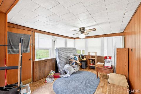 Tiny photo for 317 W Fannetta Street, Dexter, MO 63804 (MLS # 26030340)