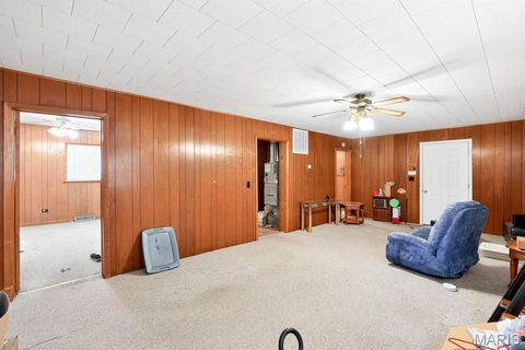 Tiny photo for 317 W Fannetta Street, Dexter, MO 63804 (MLS # 26030340)