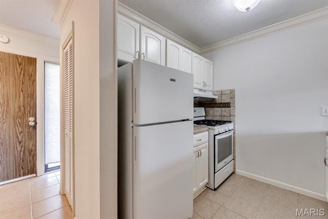 Tiny photo for 230 Braeshire Drive #E, Ballwin, MO 63021 (MLS # 26055464)
