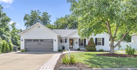 295 Lower Street Augusta MO 63332