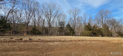 1970 Tanglefoot Farms Rd Festus MO 63028