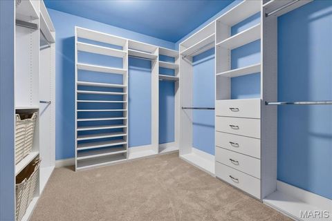 Tiny photo for 883 Arbor Chase Drive, Wildwood, MO 63021 (MLS # 26000348)