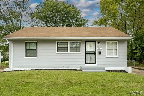 233 Cameron Road St Louis MO 63137