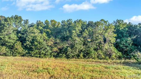 Tiny photo for 000 Cave Farm Road, Troy, MO 63379 (MLS # 25077119)