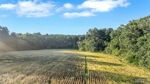 Tiny photo for 000 Cave Farm Road, Troy, MO 63379 (MLS # 25077119)