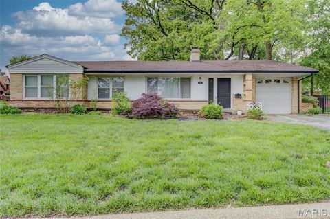 Photo of 1101 E Parkedge Lane, University City, MO 63130 (MLS # 26028558)