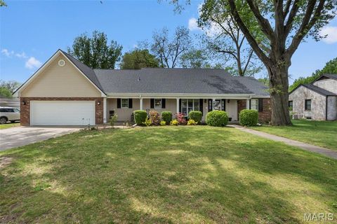 Photo of 807 Sikes Avenue, Sikeston, MO 63801 (MLS # 26023350)