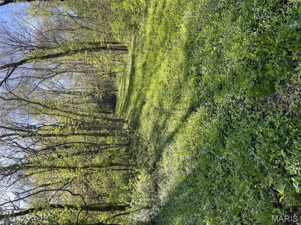 Zoar Ridge Estates - Land