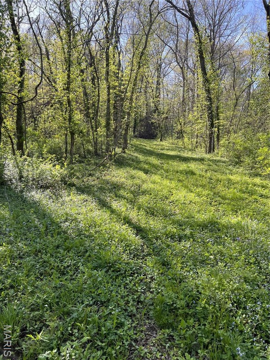 Discover the largest lot in Zoar Ridge Estates—over 4 acres of mature hardwood forest offering privacy and natural beauty just minutes from Troy. This exceptional parcel features dramatic topography with a gentle 52-foot elevation change over 360 feet, creating the ideal setting for an atrium walkout home that captures views of the surrounding woodland.

The lot comes ready to build with underground electric service (25 KVA transformer on-site) and connection to the subdivision's shared well system already in place. Professional boundary and topographic surveys are available, taking the guesswork out of your building plans. The generous acreage provides ample room for your dream home plus a detached garage or outbuilding (with HOA approval).

Zoar Ridge Estates is a well-maintained private community of 23 estate-sized lots accessed via Highway J south of Highway U. The subdivision features private roads with decorative streetlights. Protective covenants ensure quality construction throughout: 1,800 square feet minimum for ranch homes, 2,300 square feet minimum for two-story designs. Bring your own builder.

Located in the heart of Lincoln County's countryside, yet convenient to Troy, Wentzville, and the I-70 corridor. Wildlife abounds—expect regular visits from deer and other native species.