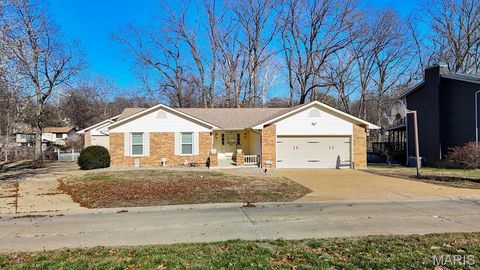113 Parkview Drive Crystal City MO 63019