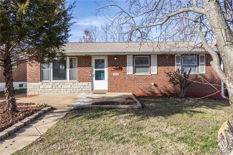 Photo of 9855 Ione Lane, St Louis, MO 63123 (MLS # 25074792)