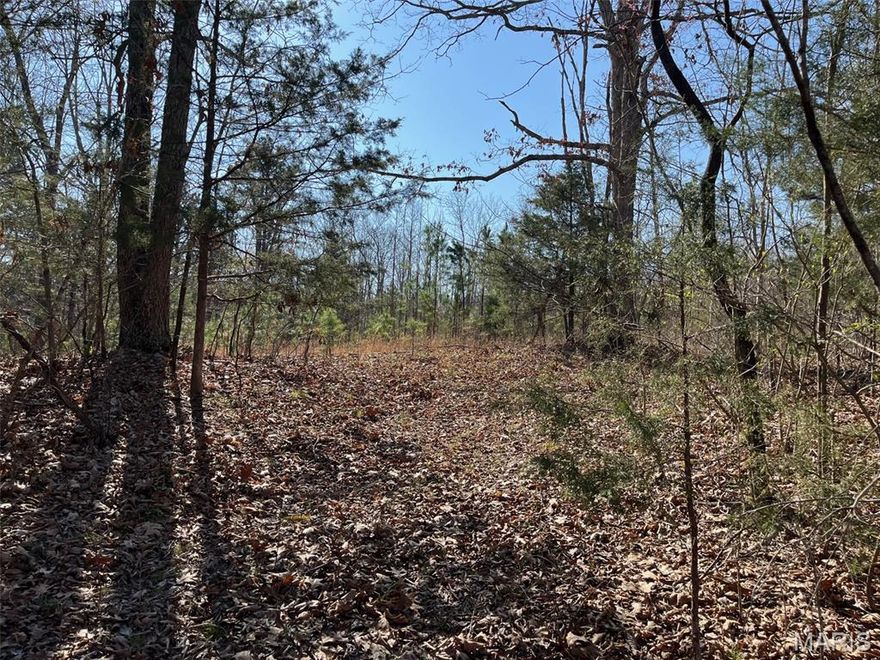 Wooded acreage for sale near Silva MO. Roughly 38+/- acres of wooded land, identified as Parcel #2, previously was used as a hunting/recreational lease. Acreage is on both sides of the county road. Electric is available. Several marketable trees. This property is part of a bigger parcel that is in the process of being surveyed off. Legal description and tax amount will be determined at that time. Additional acreage is available. Call for more information.