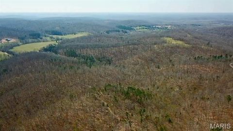 Parcel #2 Lake Road Silva MO 63964