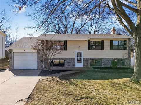 Photo of 44 Saint Lawrence Drive, Ballwin, MO 63021 (MLS # 25068301)