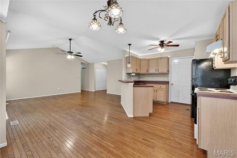 Tiny photo for 763 Shadow Pine Drive, Fenton, MO 63026 (MLS # 26031108)