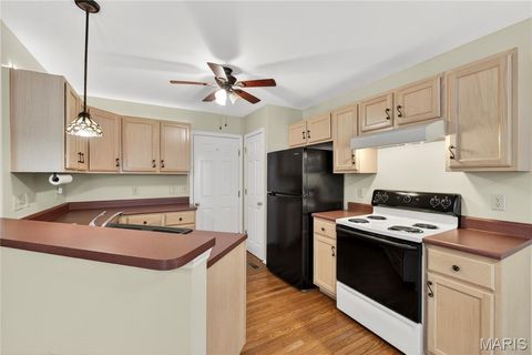 Tiny photo for 763 Shadow Pine Drive, Fenton, MO 63026 (MLS # 26031108)