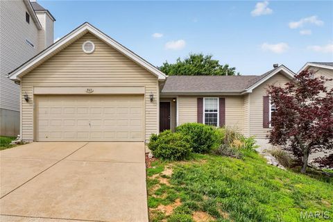 Photo of 763 Shadow Pine Drive, Fenton, MO 63026 (MLS # 26031108)