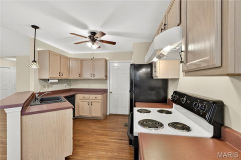 Tiny photo for 763 Shadow Pine Drive, Fenton, MO 63026 (MLS # 26031108)
